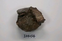 中國犀牛肢骨化石(模)藏品圖，第1張